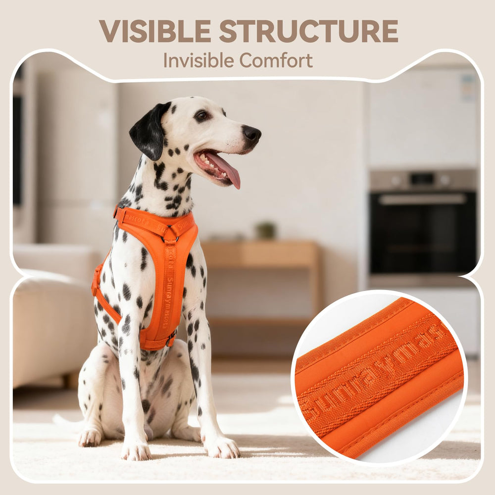 Sunraymascota durable hardware with D-ring for reliable leash connection