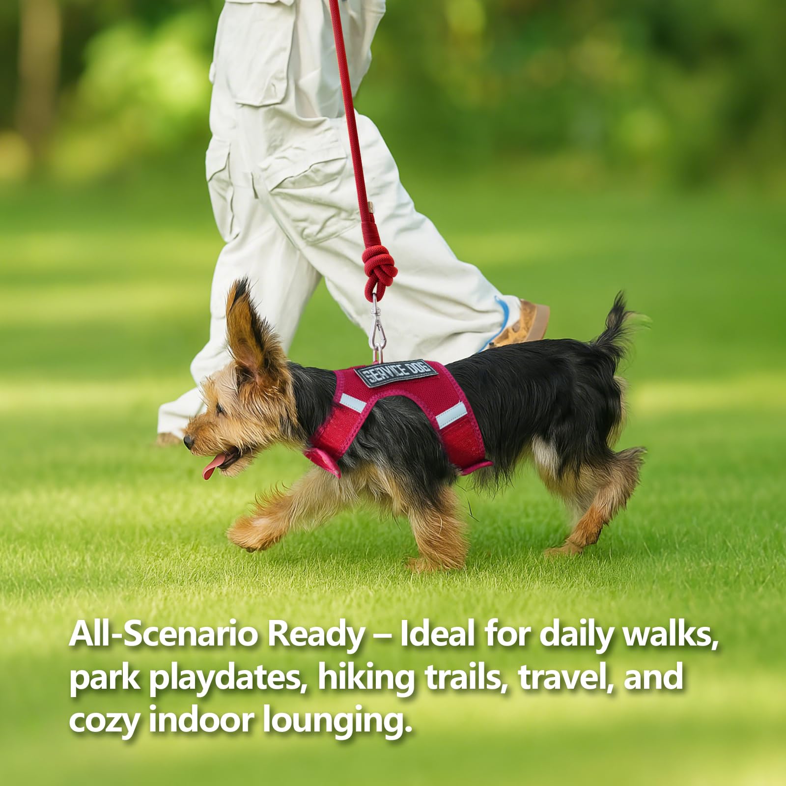 Sunraymascota harness being buckled for effortless adjustment and secure fit.