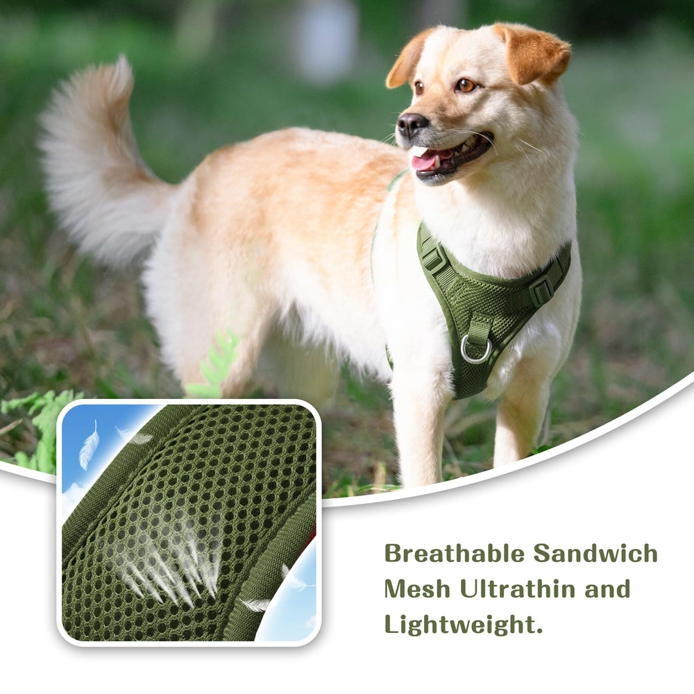 Sunraymascota easy-on, quick-release buckles simplify putting on the harness.