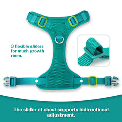 Sunraymascota escape-proof chest fit keeps dog secure on hikes