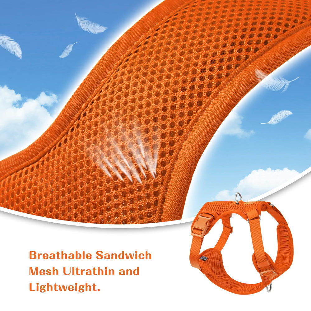Sunraymascota Escape-Proof Design ensures secure outings