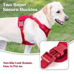 Sunraymascota escape-proof design with reinforced chest keeps outings secure.