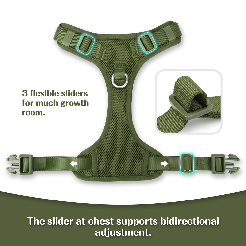 Sunraymascota escape-proof design keeps a dog secure during walks and hikes.