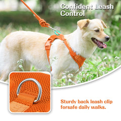 Sunraymascota adjustable sliders ensure a secure fit for growing dogs.