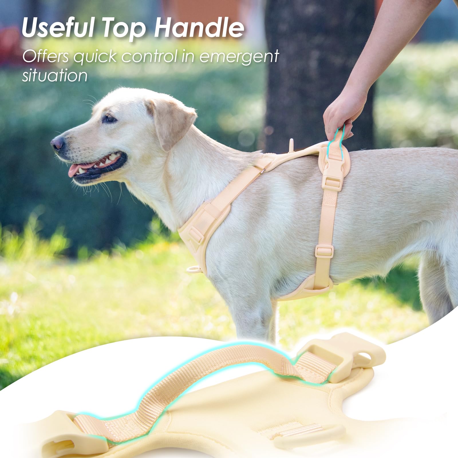 Sunraymascota adjustable straps provide a customizable, growing-fit.