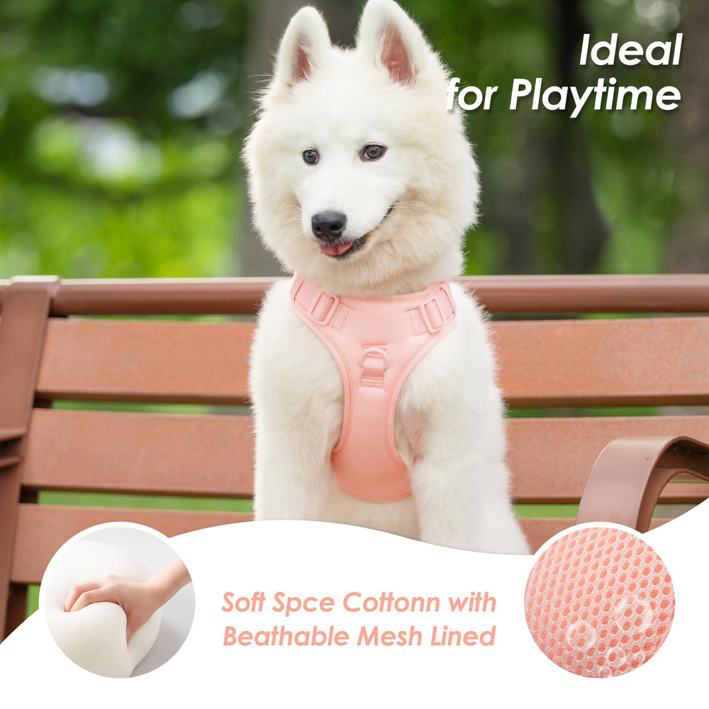 Sunraymascota breathable space cotton outer layer keeps dogs comfy.