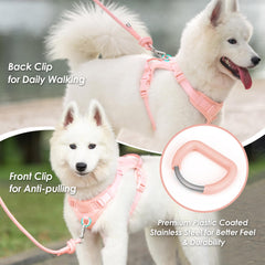 Sunraymascota harness showing front and back D-rings for versatile control.