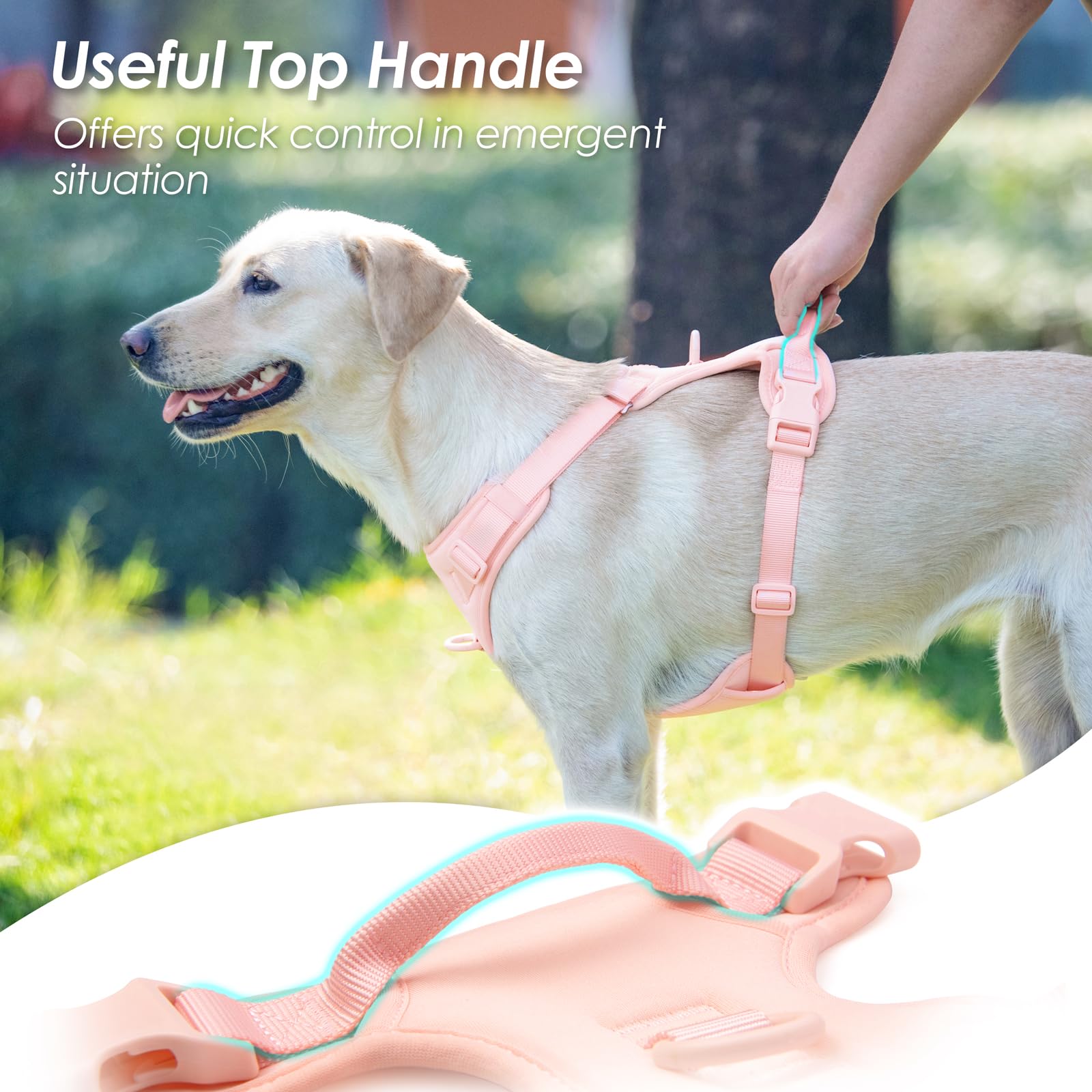 Sunraymascota harness with sturdy handle for quick lifts and on-the-go control.