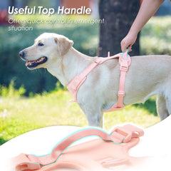 Sunraymascota harness with sturdy handle for quick lifts and on-the-go control.