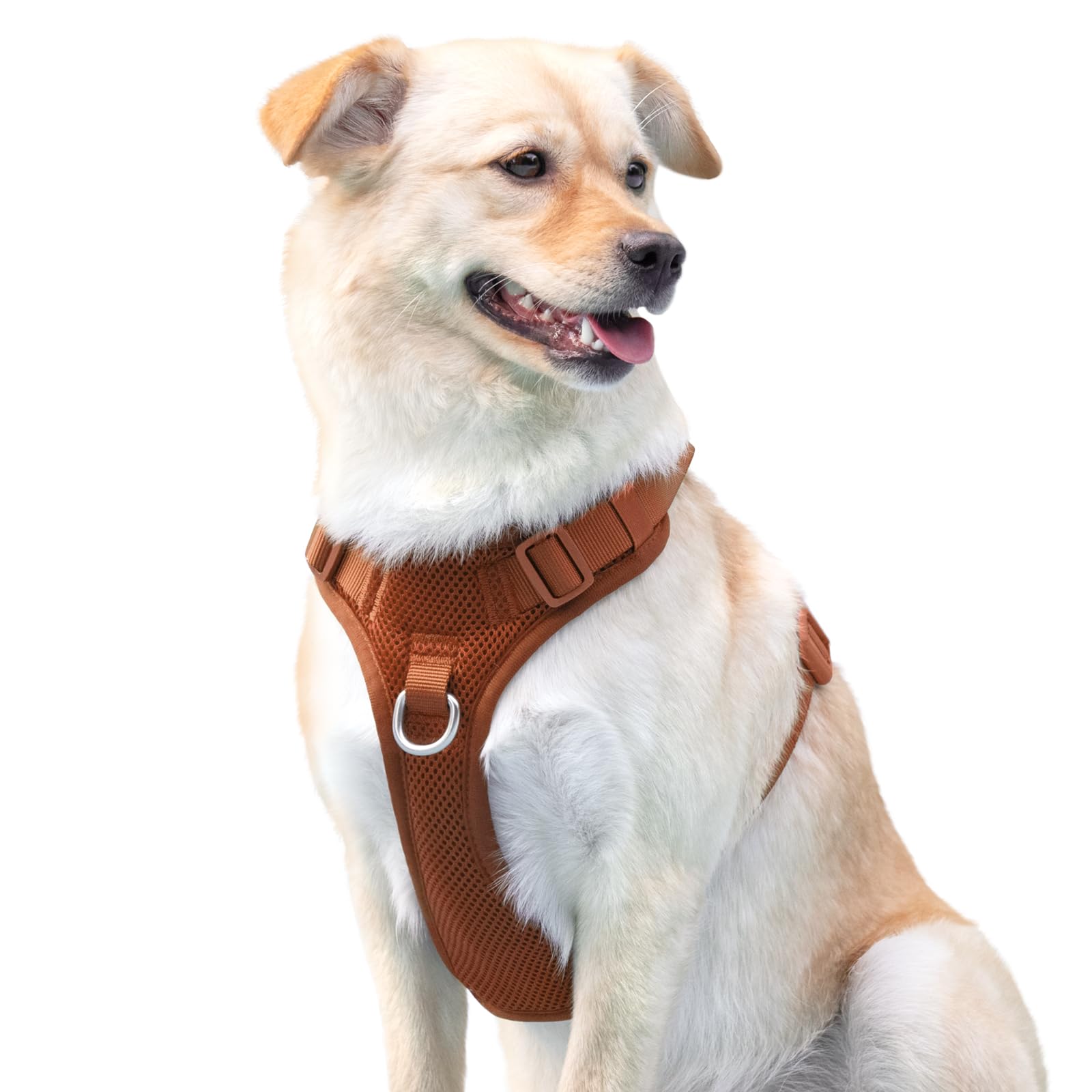 Sunraymascota quick-release buckles in use during park stroll.