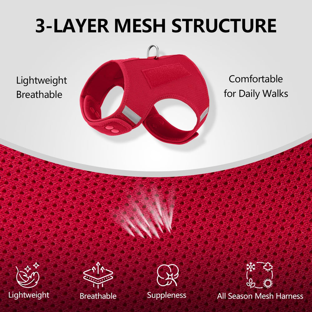 Sunraymascota harness with sturdy metal D-ring for secure leash attachment.
