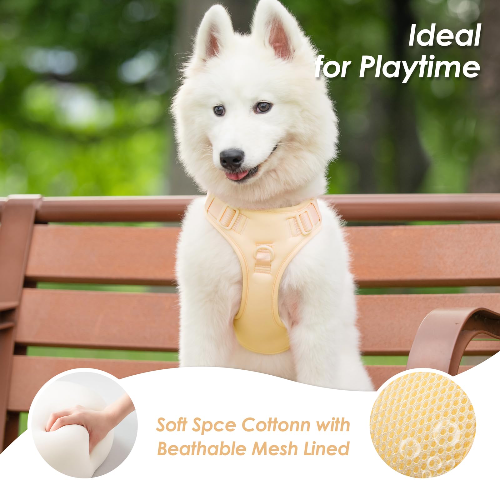 Sunraymascota space cotton outer with breathable mesh for all-day comfort.
