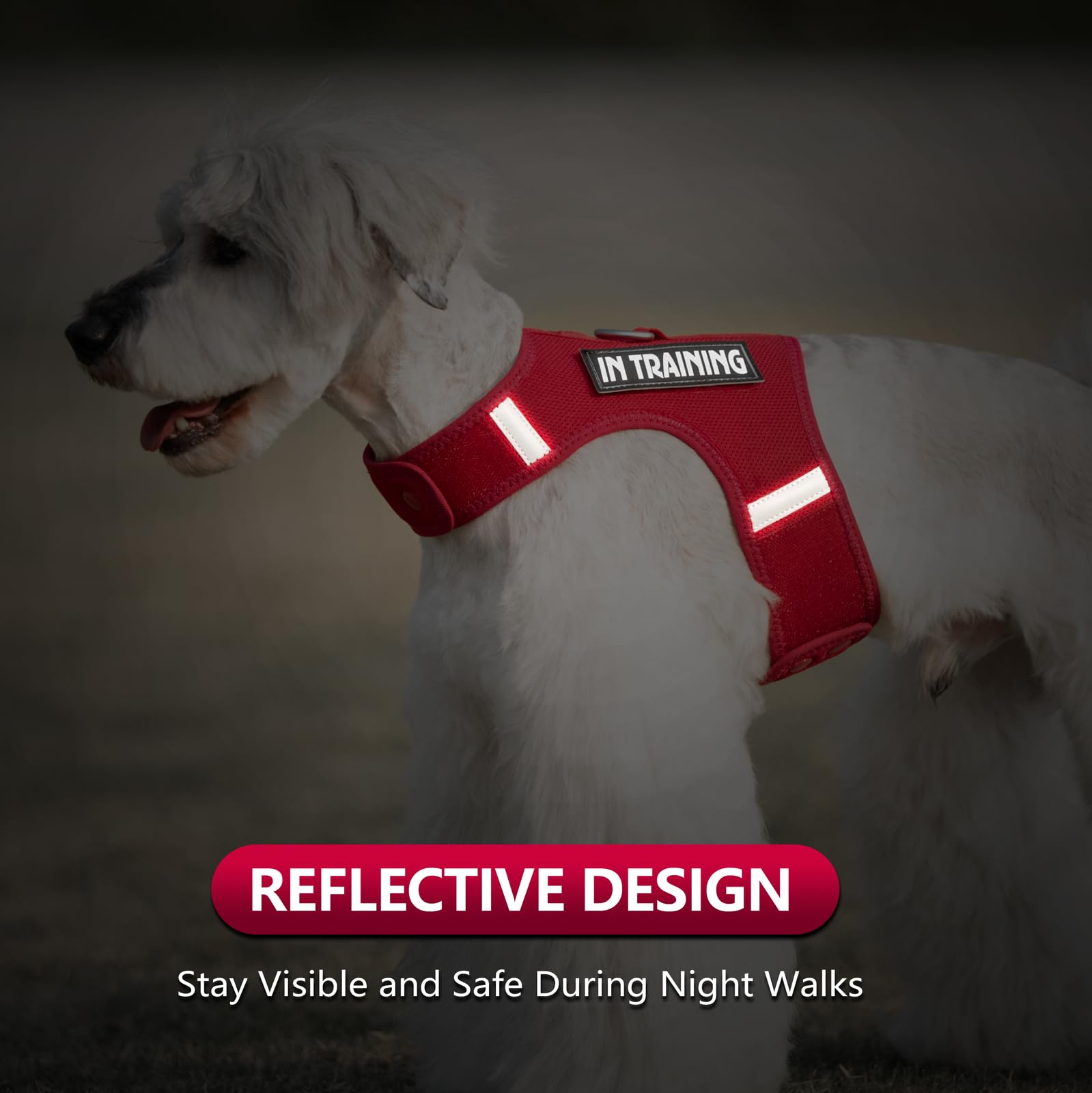 Sunraymascota harness showing interchangeable patches for Classic and Vintage styles.
