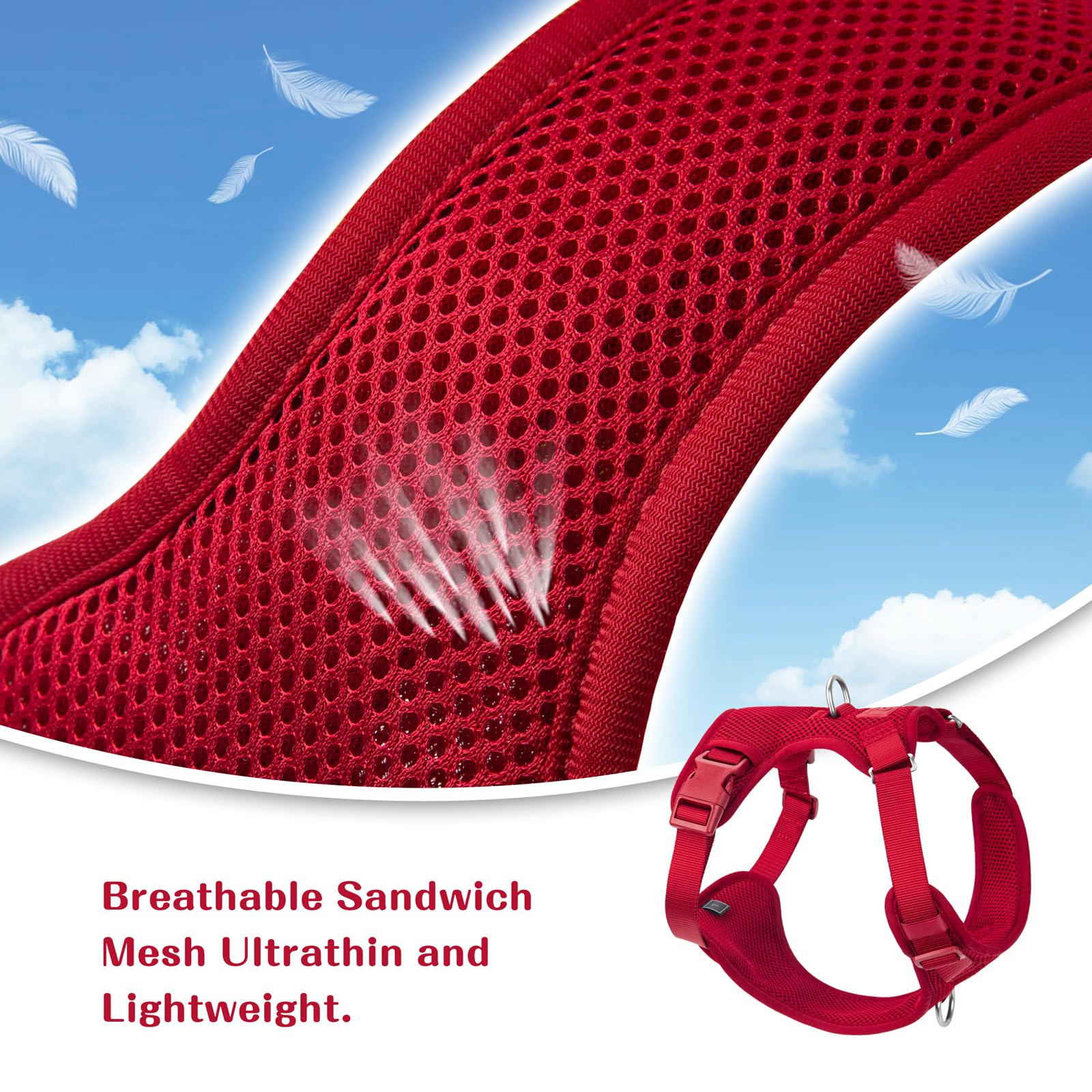 Sunraymascota burgundy red XL harness ideal for walks and hikes.