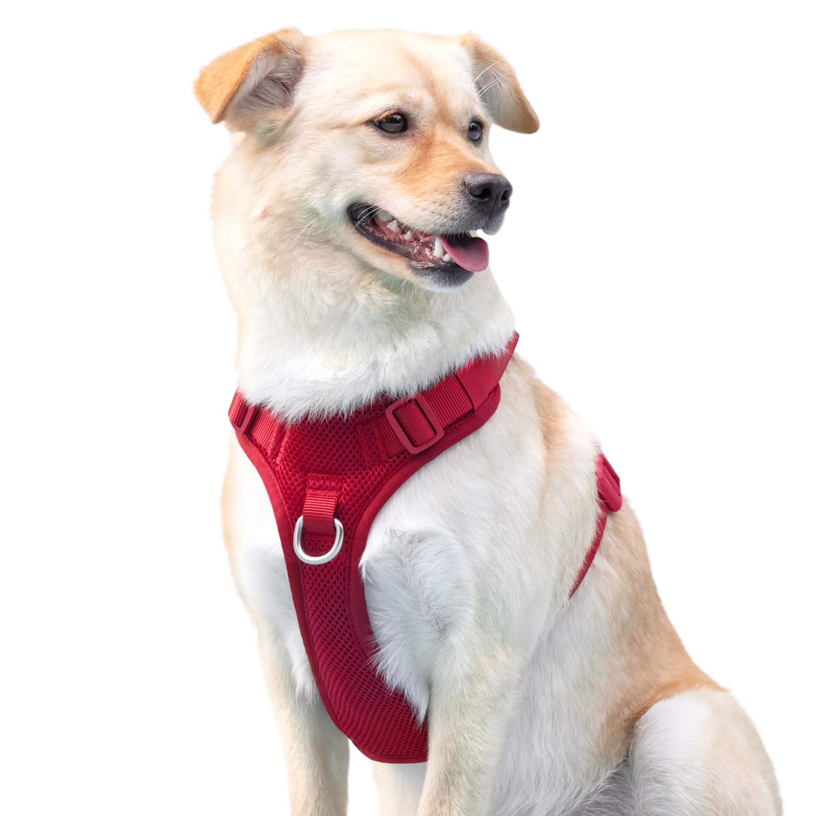 Sunraymascota light-weight mesh reduces pressure while you walk.
