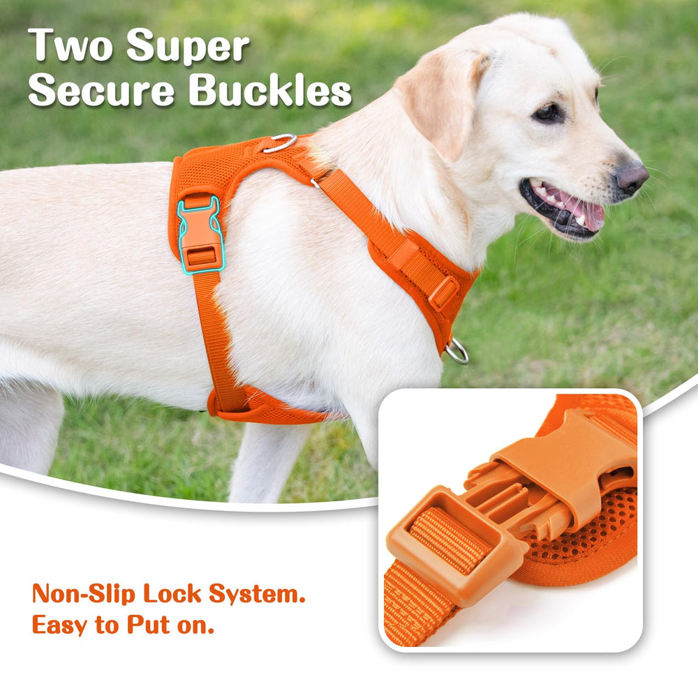 Sunraymascota lightweight harness reduces strain on joints for long, comfortable outdoor use.