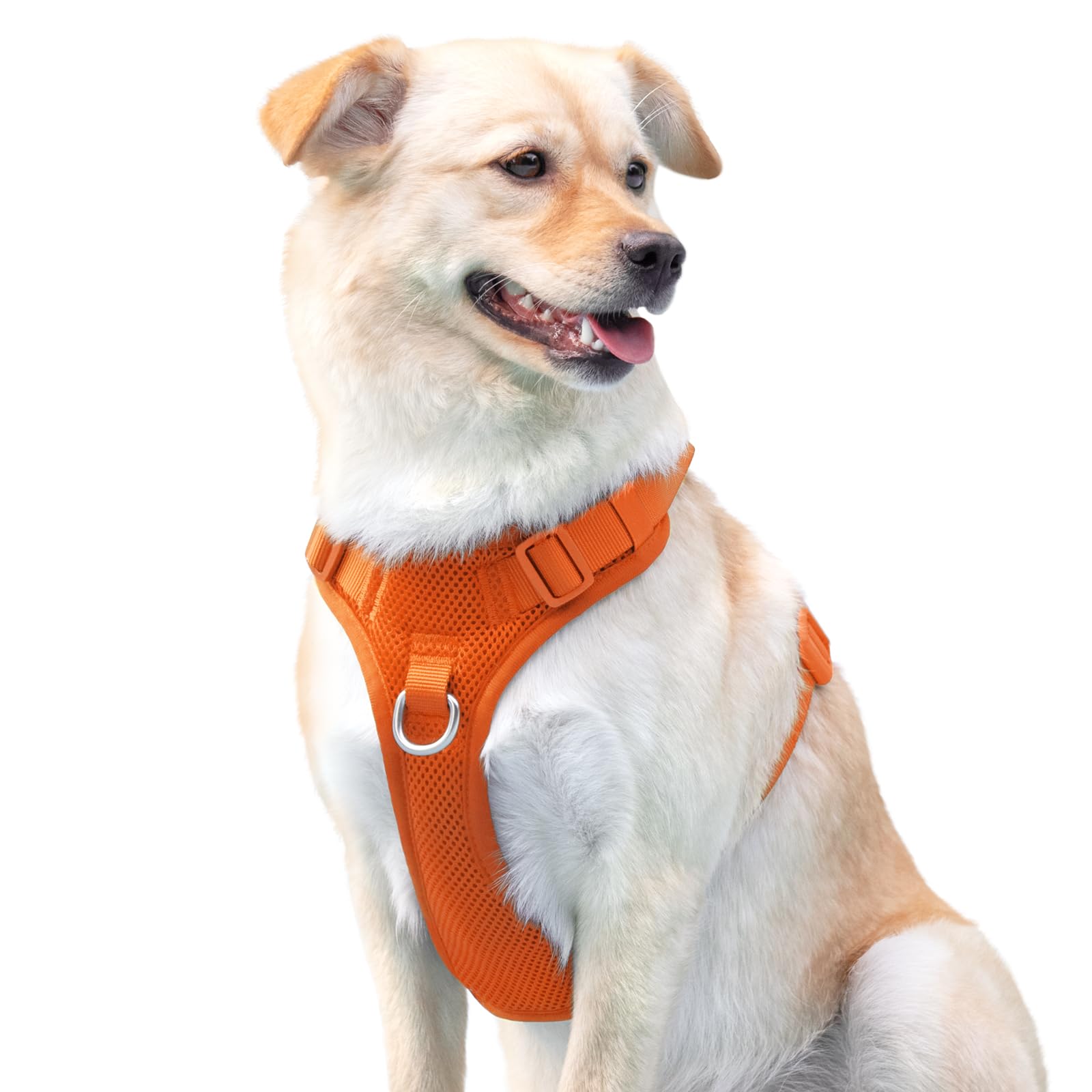 Sunraymascota breathable design minimizes chafing on long walks.