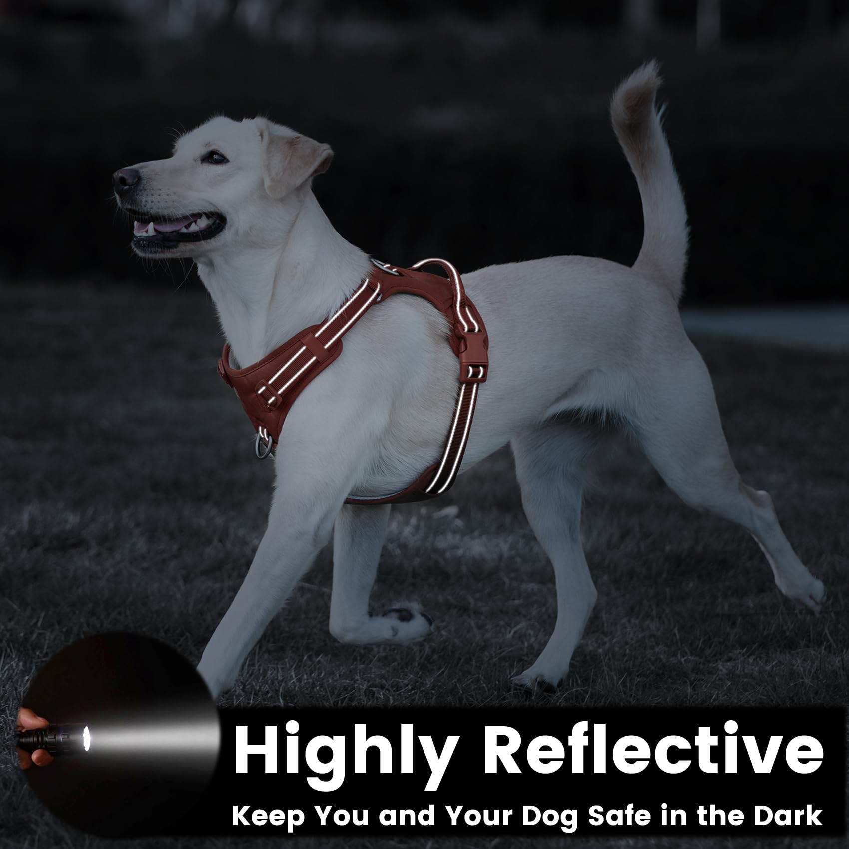 Sunraymascota No Pull Harness 3-way adjustable points ensure a comfortable growing fit.