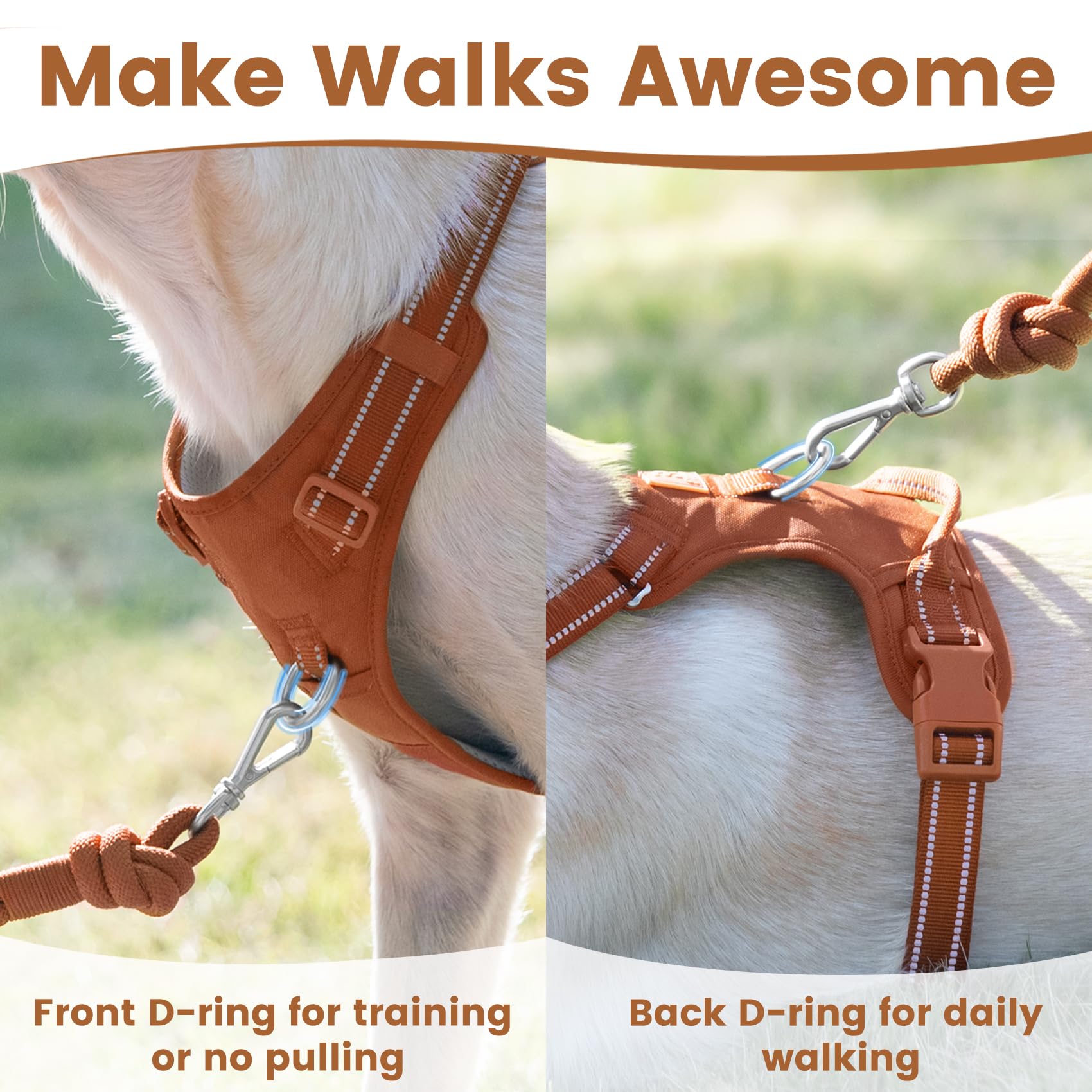 Sunraymascota No Pull Harness back D-ring with secure leash attachment for daily adventures.