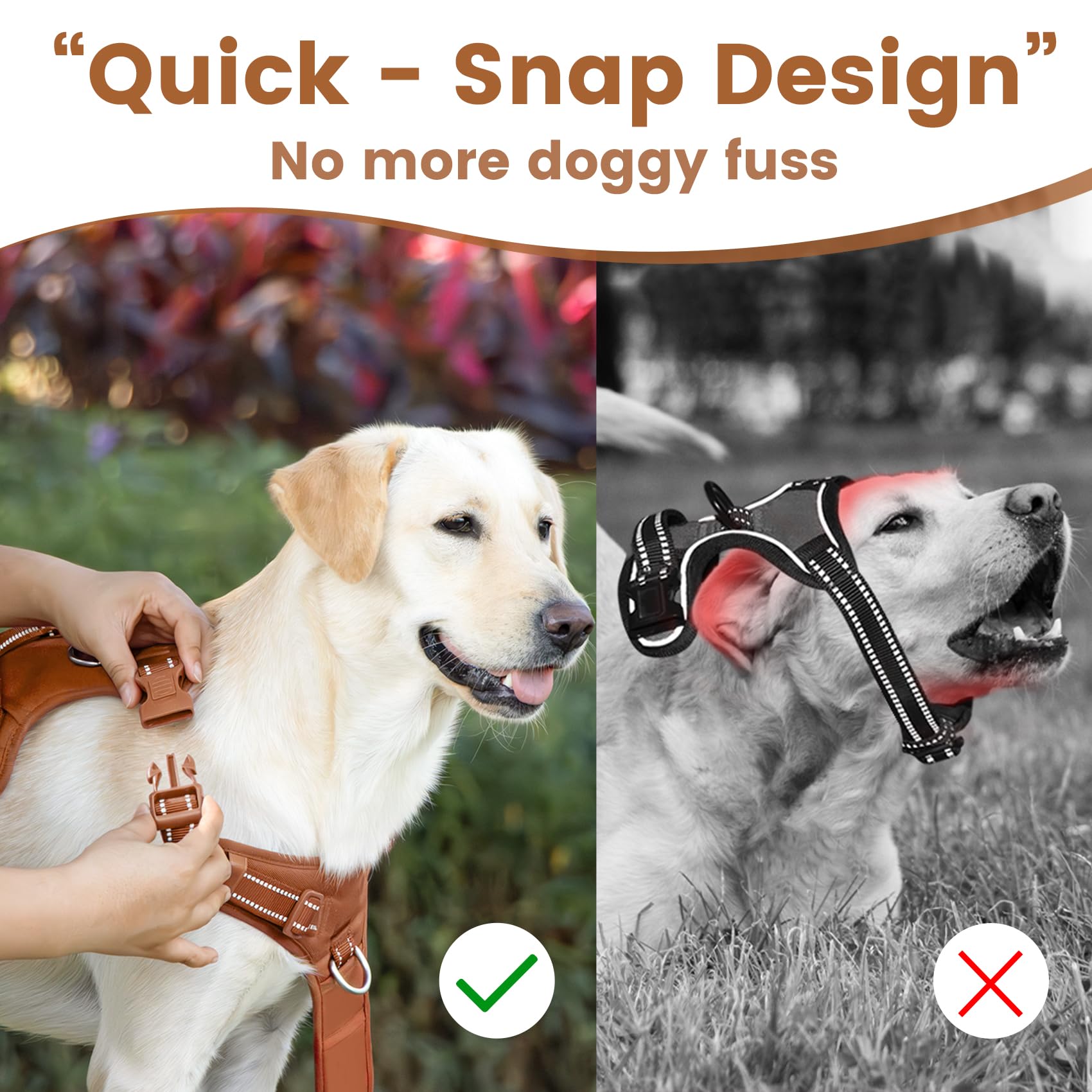 Sunraymascota No Pull Harness front D-ring guiding during walks for calmer outings.