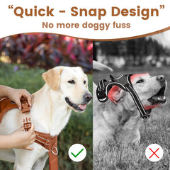 Sunraymascota No Pull Harness front D-ring guiding during walks for calmer outings.