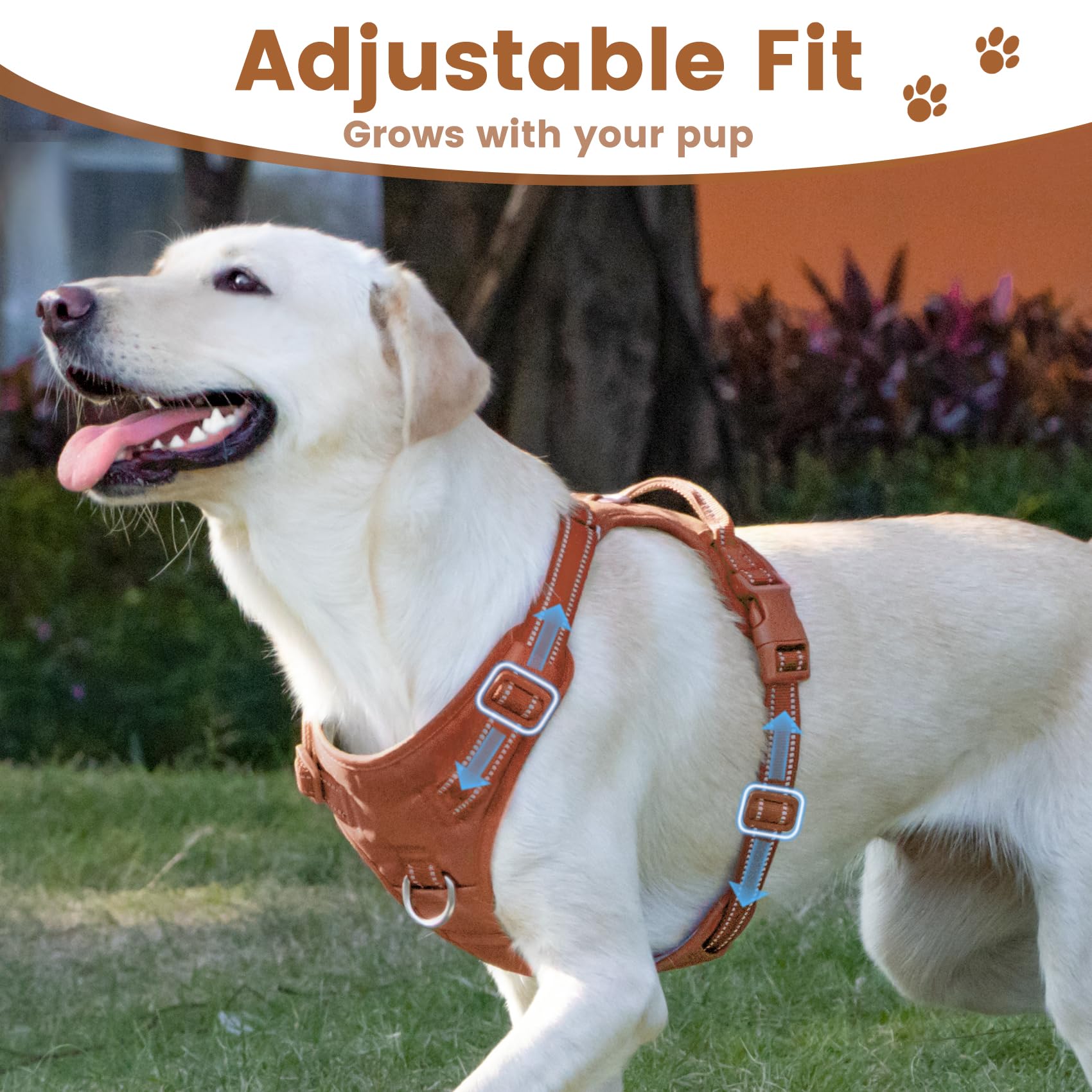 Sunraymascota No Pull Harness reflective strips boost visibility during low-light walks.