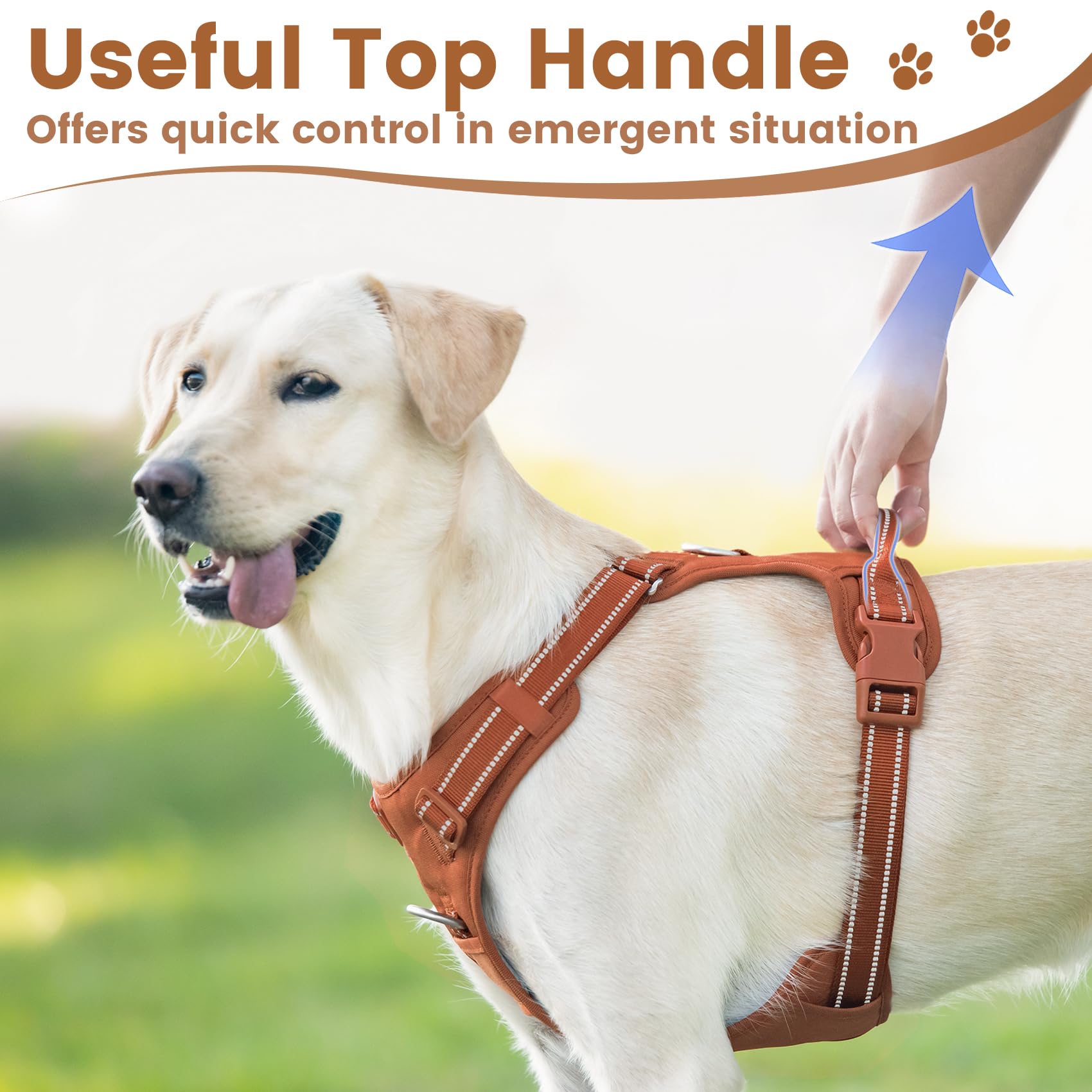 Sunraymascota No Pull Harness top-handle aids control in crowded places.