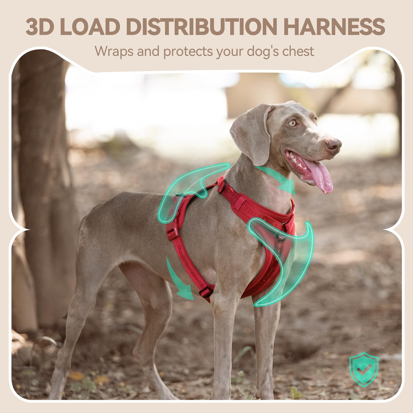 Sunraymascota 3D padding close-up showing even pressure distribution