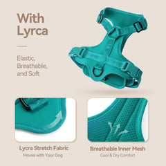 Sunraymascota No Pull Harness 3D Padding highlights breathable, pressure-distributing support