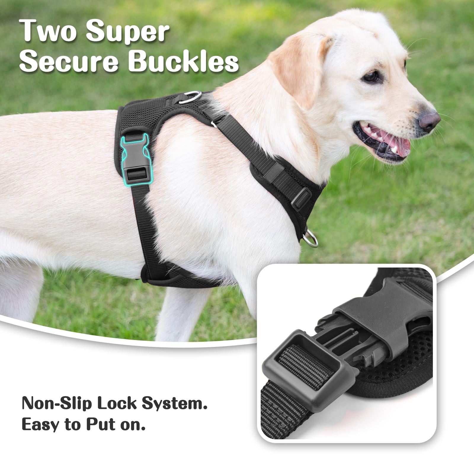 Sunraymascota No Pull Harness adjustable sliders for growing dogs.