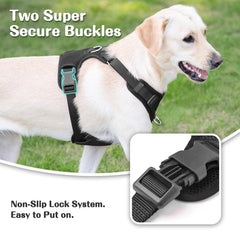 Sunraymascota No Pull Harness adjustable sliders for growing dogs.