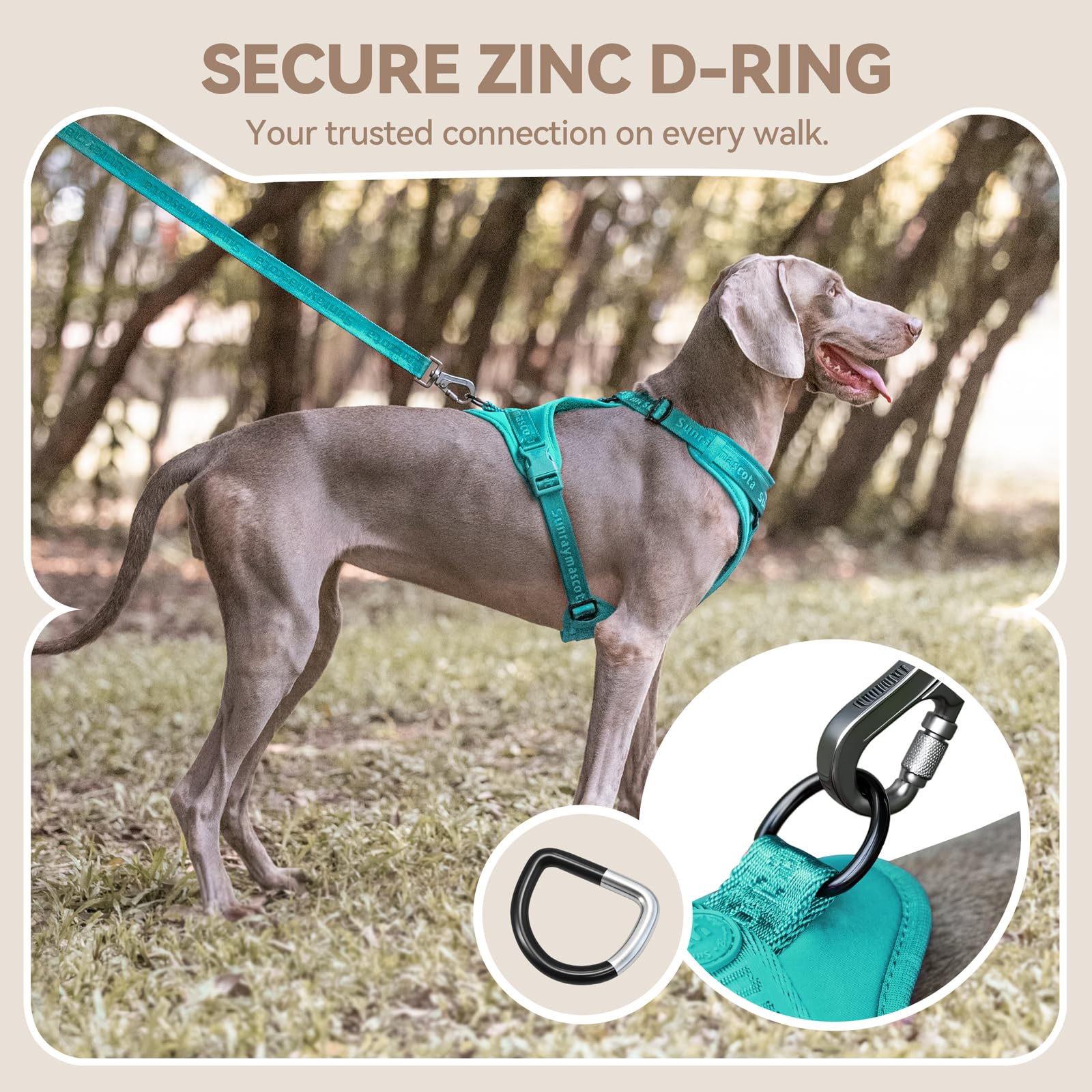 Sunraymascota No Pull Harness adjustable straps customize comfort for the dog.
