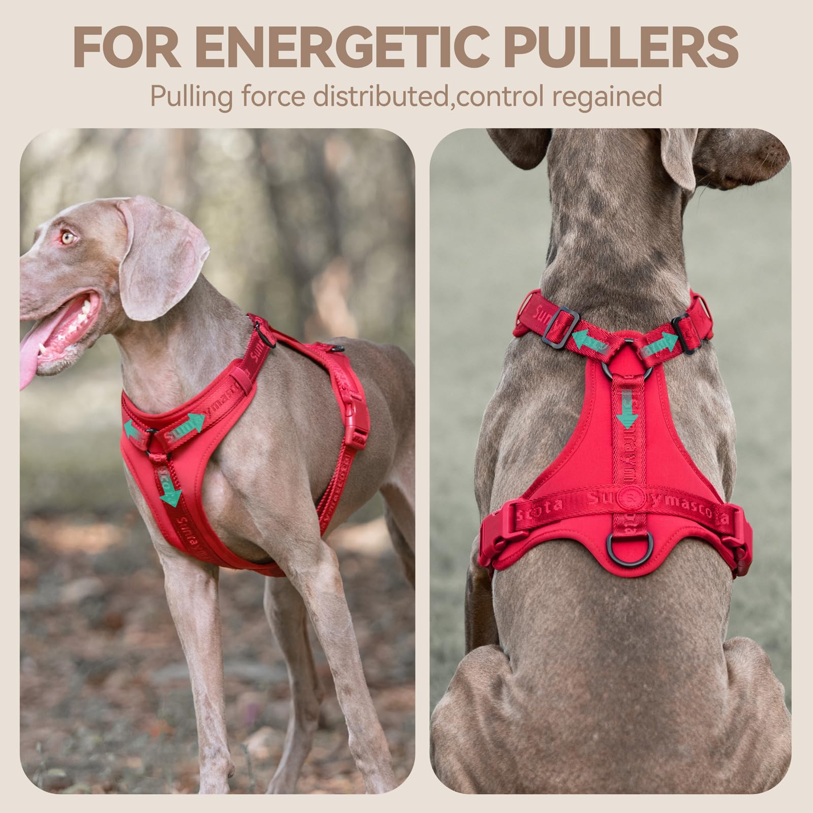 Sunraymascota No Pull Harness adjustable straps for secure custom fit