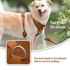 Sunraymascota no-pull harness back clip Carmel Brown for secure everyday walks.