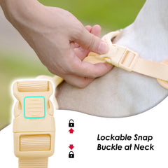 Sunraymascota no pull harness back clip during walks shows versatile training options.