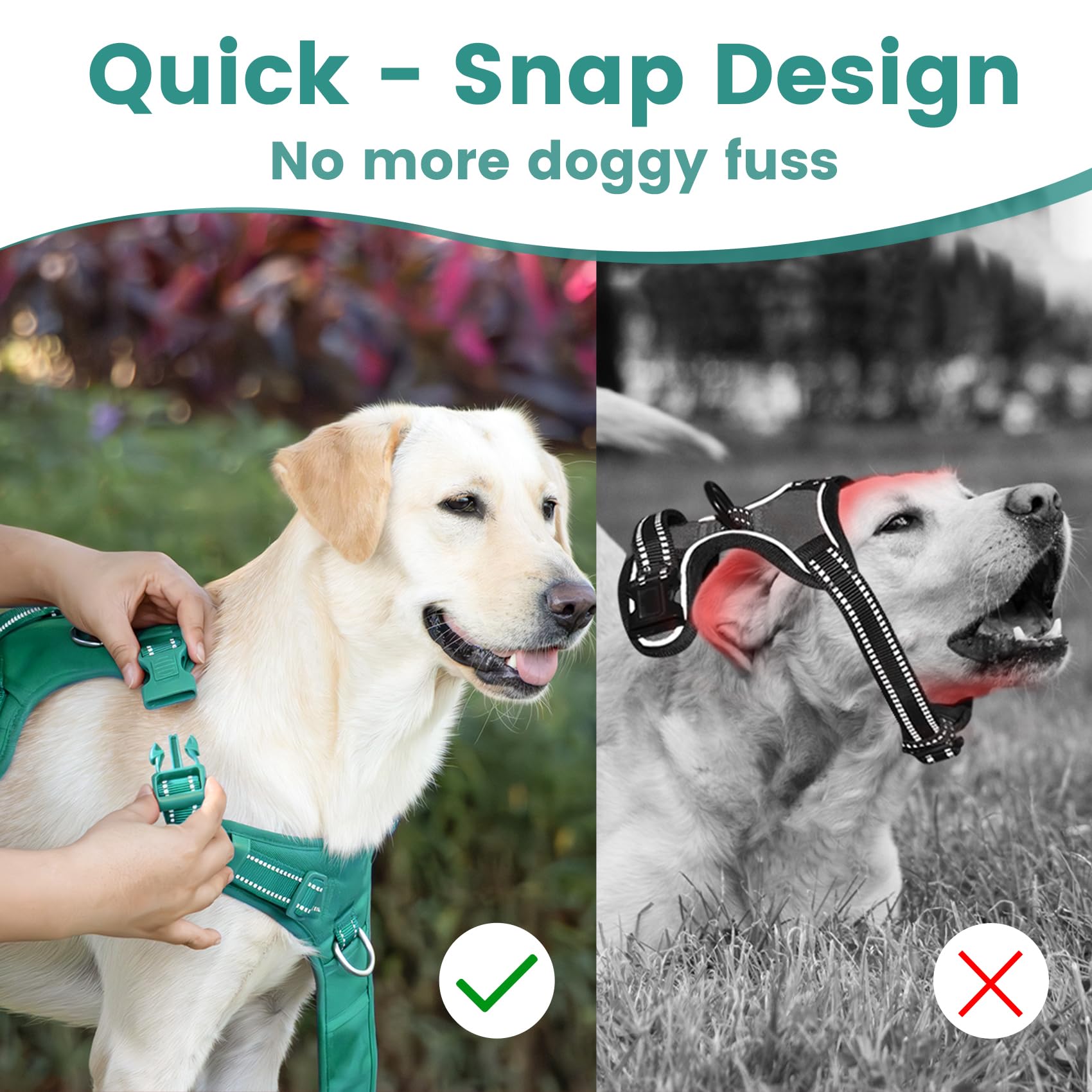 Sunraymascota No Pull Harness back D-ring attachment for secure leash