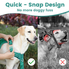 Sunraymascota No Pull Harness back D-ring attachment for secure leash