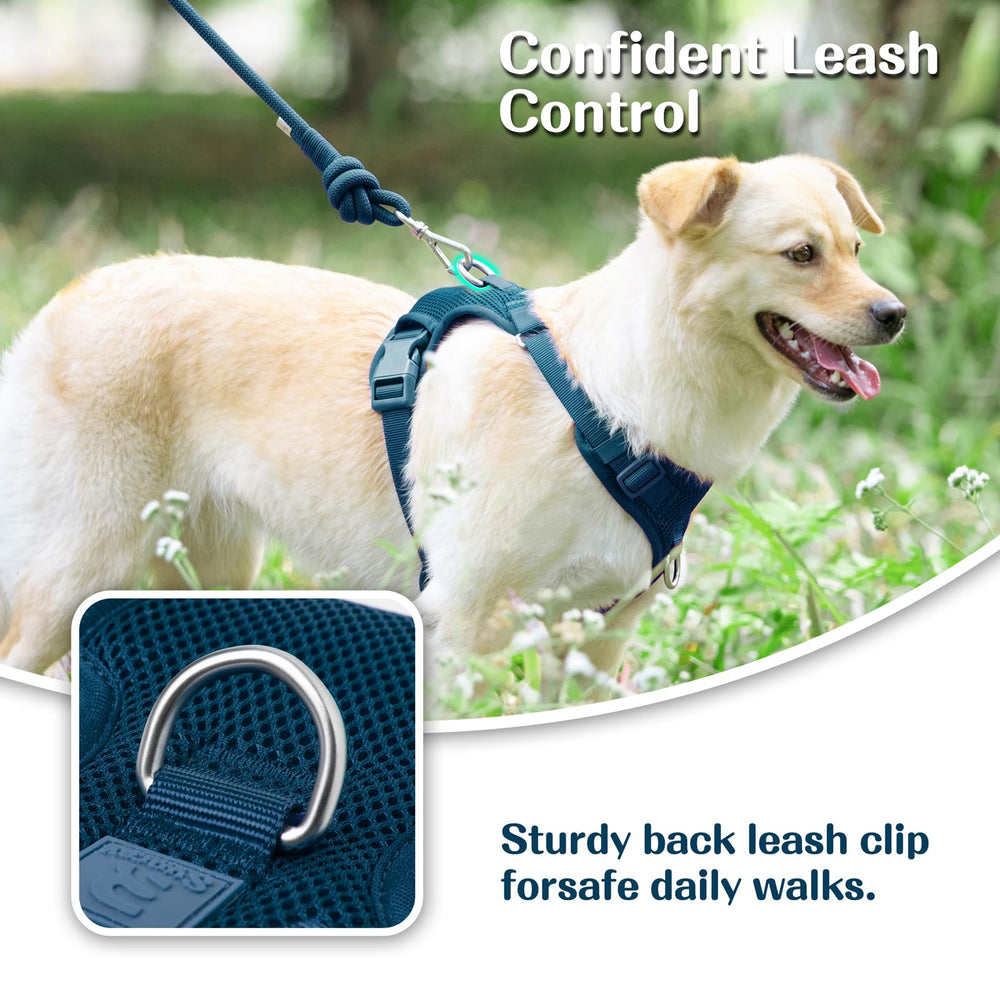 Sunraymascota no-pull harness back D-ring for casual strolls and security