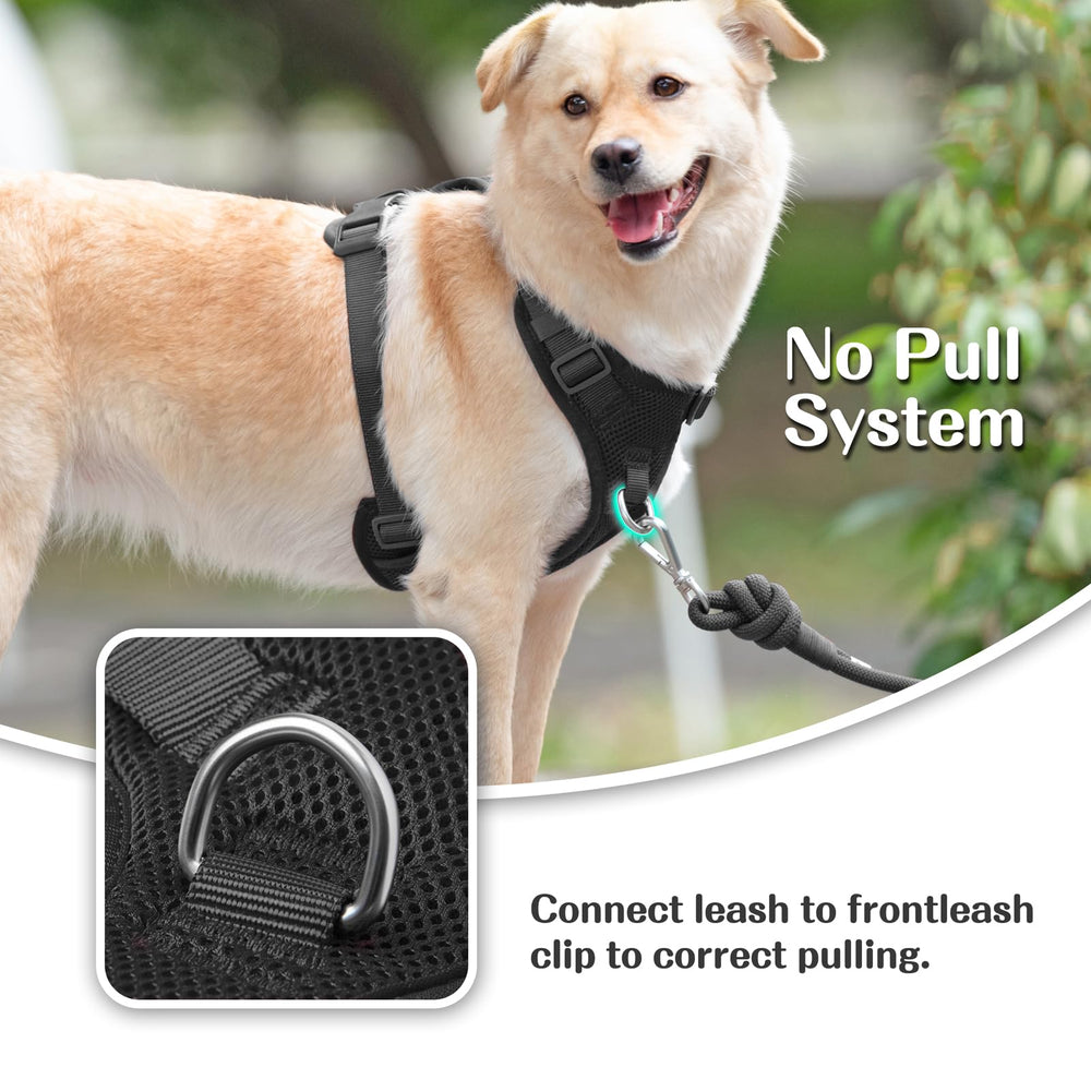 Sunraymascota No Pull Harness back D-ring for casual walks with balanced pressure.