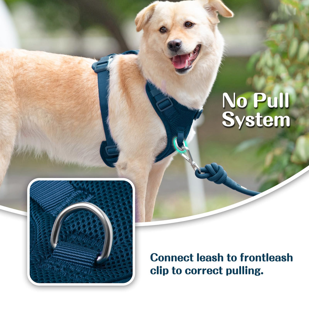 Sunraymascota no-pull harness back D-ring enables steady walks and jogging.