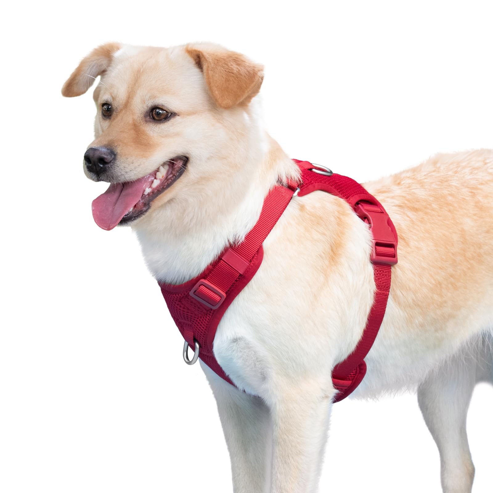 Sunraymascota burgundy red vest for versatile walking and hiking sessions
