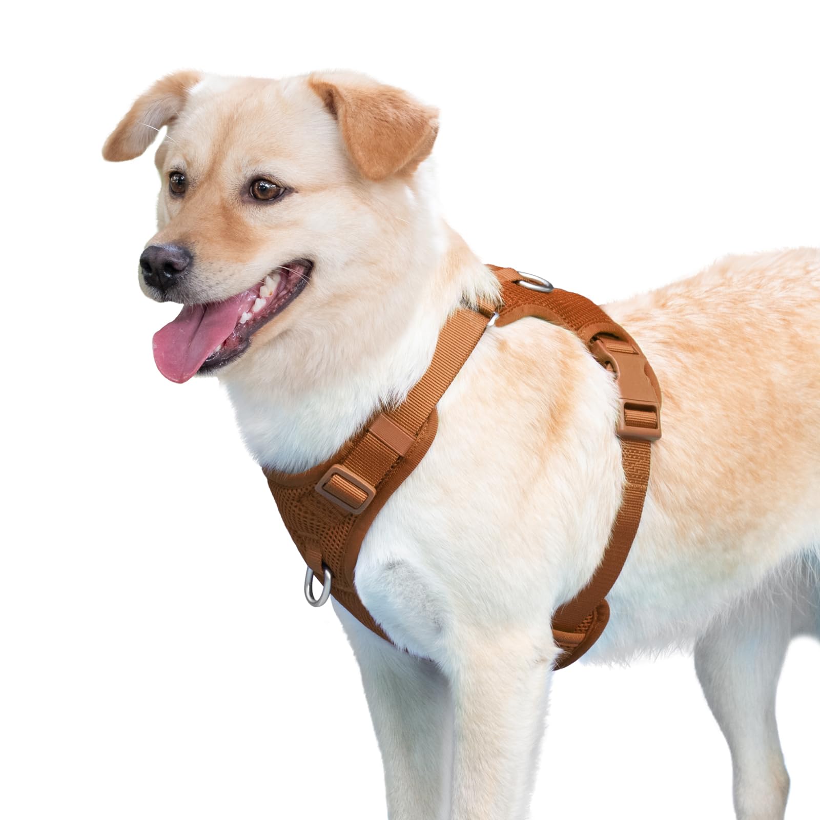 Sunraymascota No Pull Harness Carmel Brown finish for everyday wear.