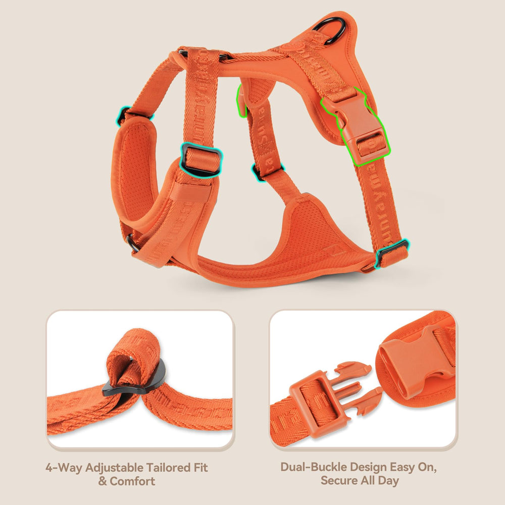 Sunraymascota No Pull Harness uses a zinc-alloy D-ring for reliable leash connection