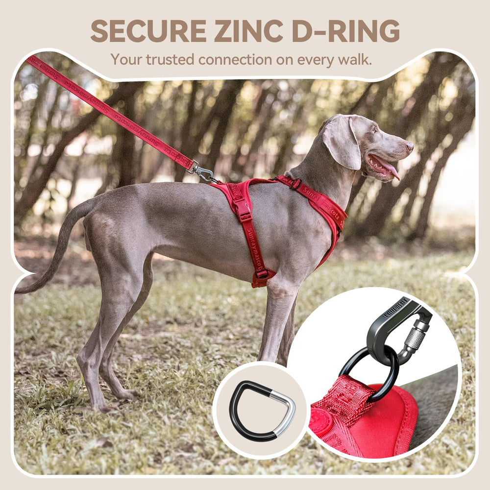 Sunraymascota No Pull Harness zinc D-ring provides reliable leash connection