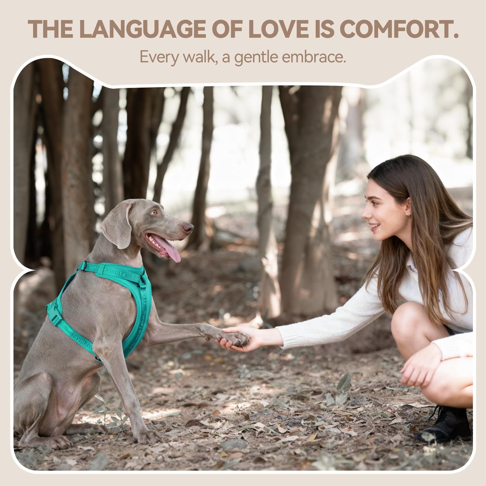 Sunraymascota No Pull Harness Dog in Marrs Green showcases stylish outdoor use