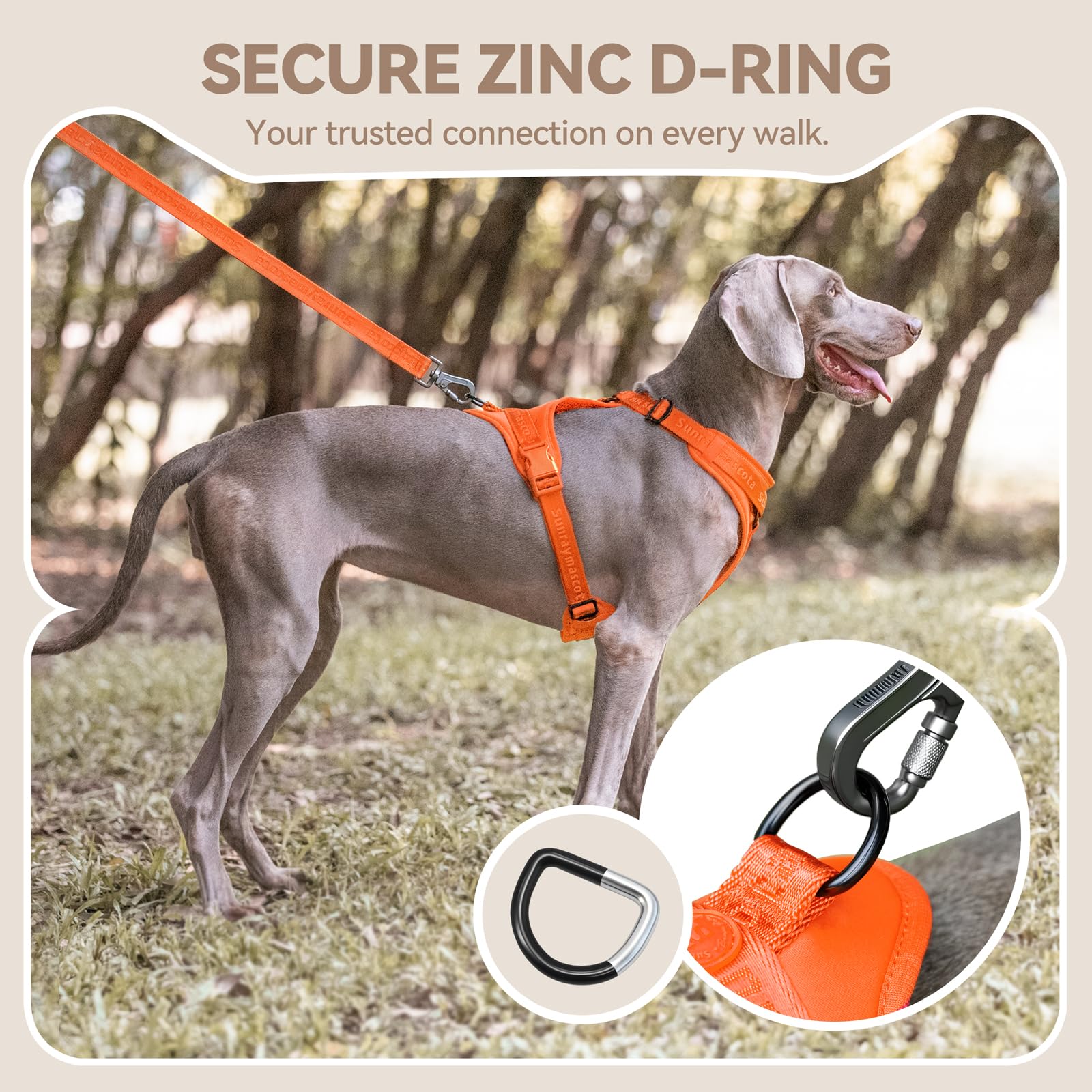 Sunraymascota No Pull Harness includes dual quick-release buckles for easy dressing.
