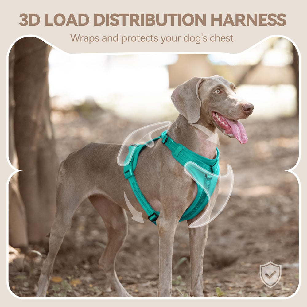 Sunraymascota No Pull Harness dual quick-release buckles speed up dressing.