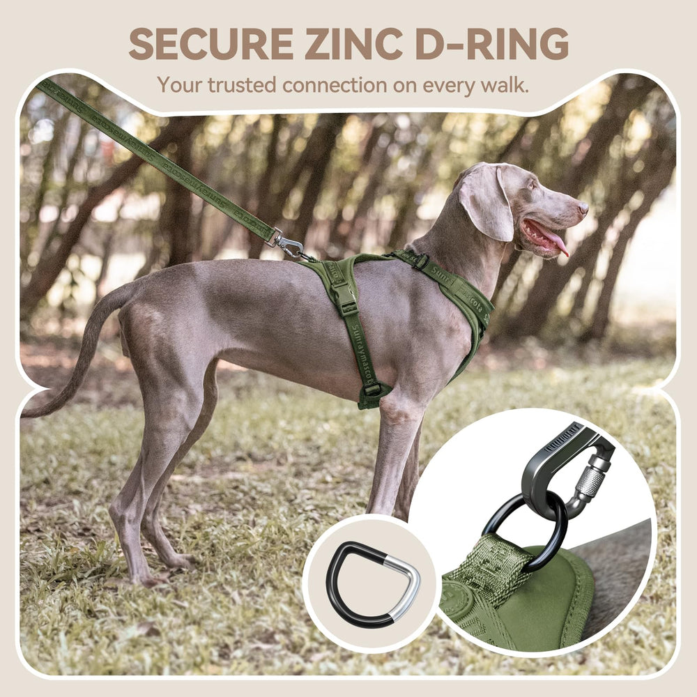 Sunraymascota No Pull Harness four adjustable straps for a secure fit