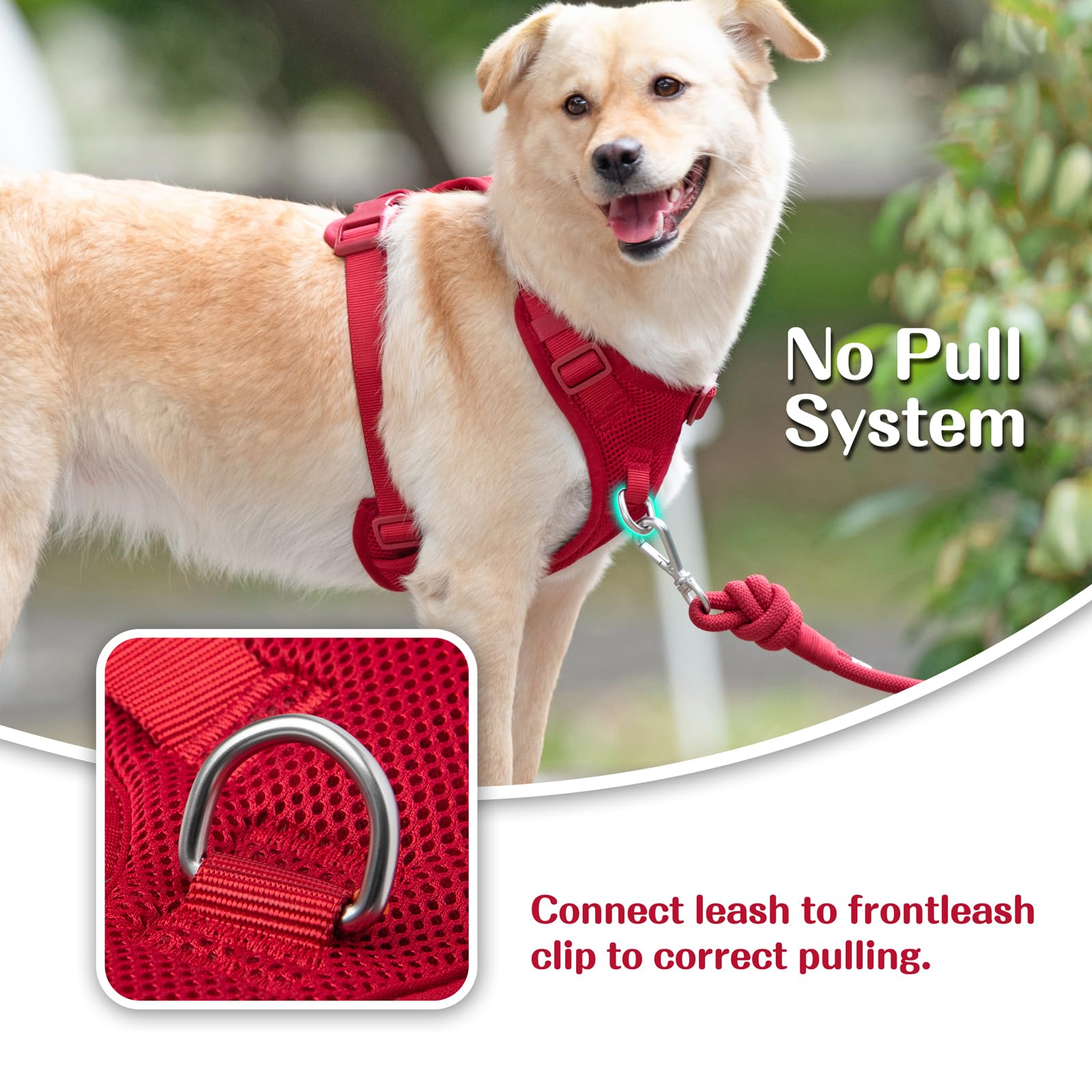 Sunraymascota harness escape-proof design secures dogs during walks and car rides