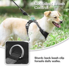 Sunraymascota No Pull Harness escape-proof design with snug chest for security.